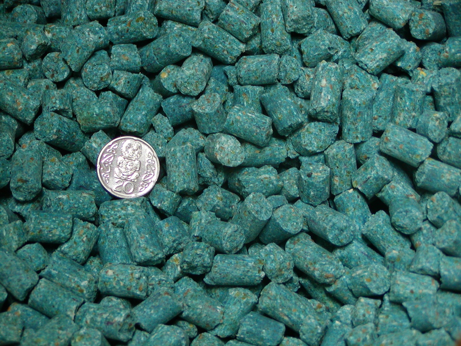 Brodifacoum; small blue-green cylinder shaped pellets, no larger than a 20 cent coin, which is also in the photo for scale