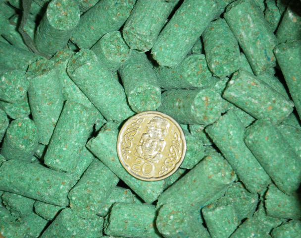 Pestoff Rat Bait 50D diphacinone pellets; small green cylinder shaped pellets, as large or slightly larger than a 20 cent coin, which is also in the photo for scale