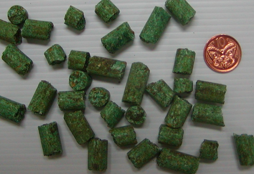 Pindone bait pellets; small green cylinder shaped pellets, about the size of a 10 cent coin, which is also in the photo for scale