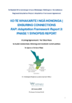 Māori Engagement Report preview