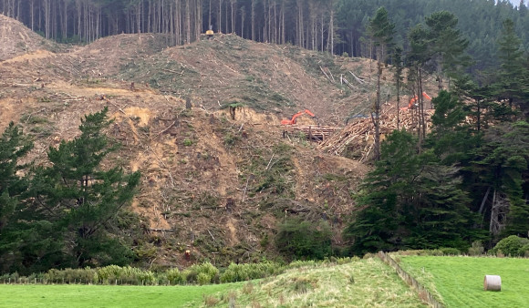 Battle Hill forestry March 2023 Visible from SH1