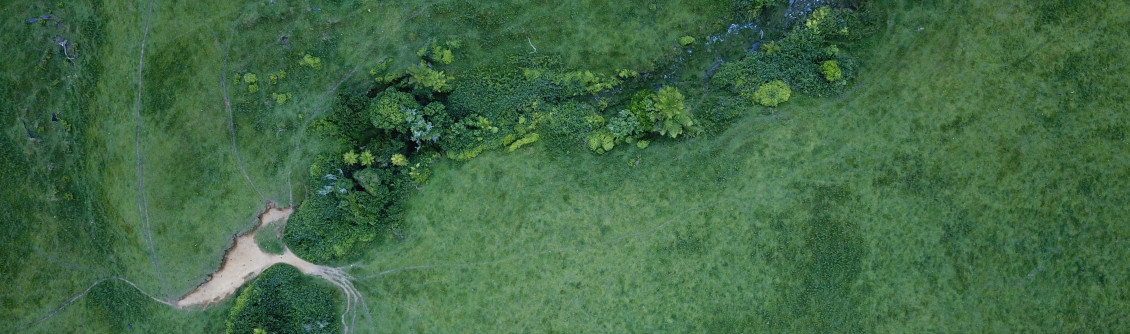 Aerial view of a paddock and stream