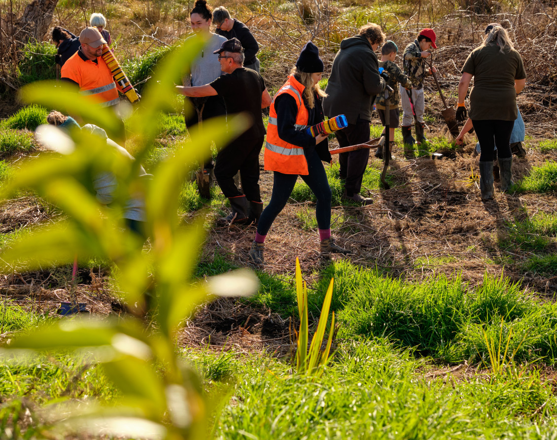 Warmly-dressed people planting small plants