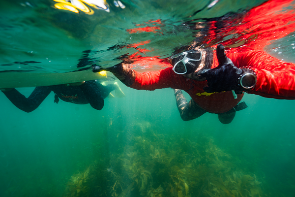 An underwater view of two people snorkelling