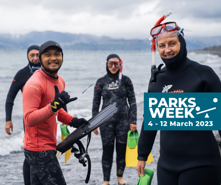 People in wetsuits with snorkeling gear grin at the camera