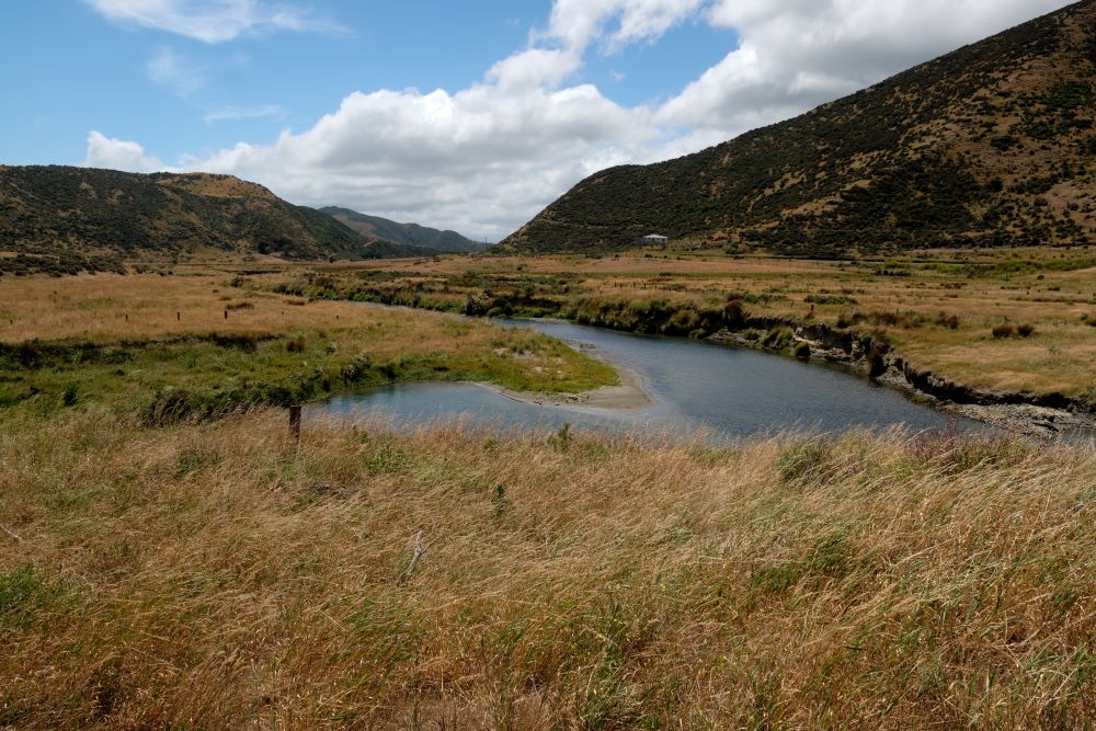 A view of a river in East Harbour Regional Park