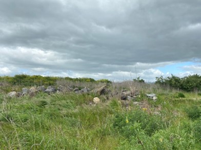 The bank of the Waingawa River