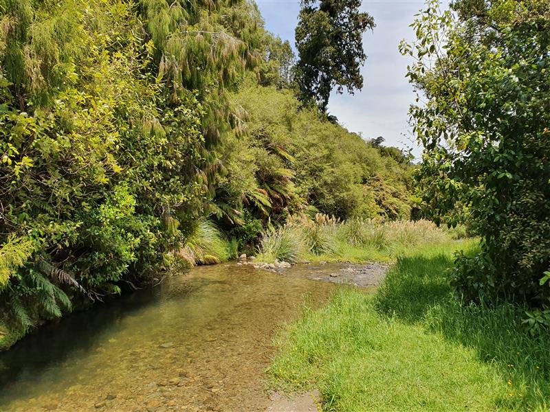 A view down the Mangaone Stream