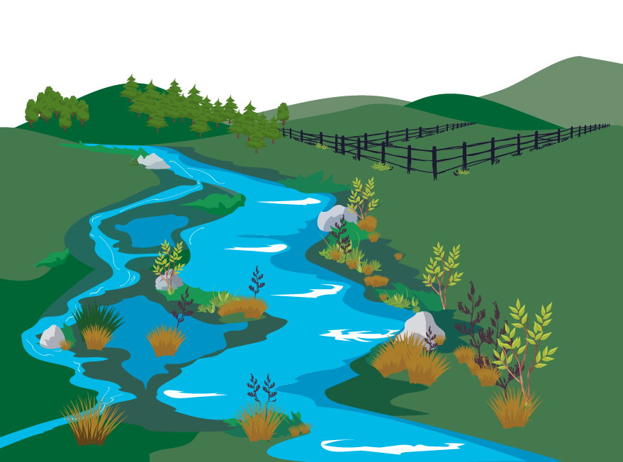 Illustration of a stream with a winding, natural channel flowing through grassy terrain. Vegetation and rocks line the banks, and a fenced area runs along the right side. Hills and a forested area appear in the background.