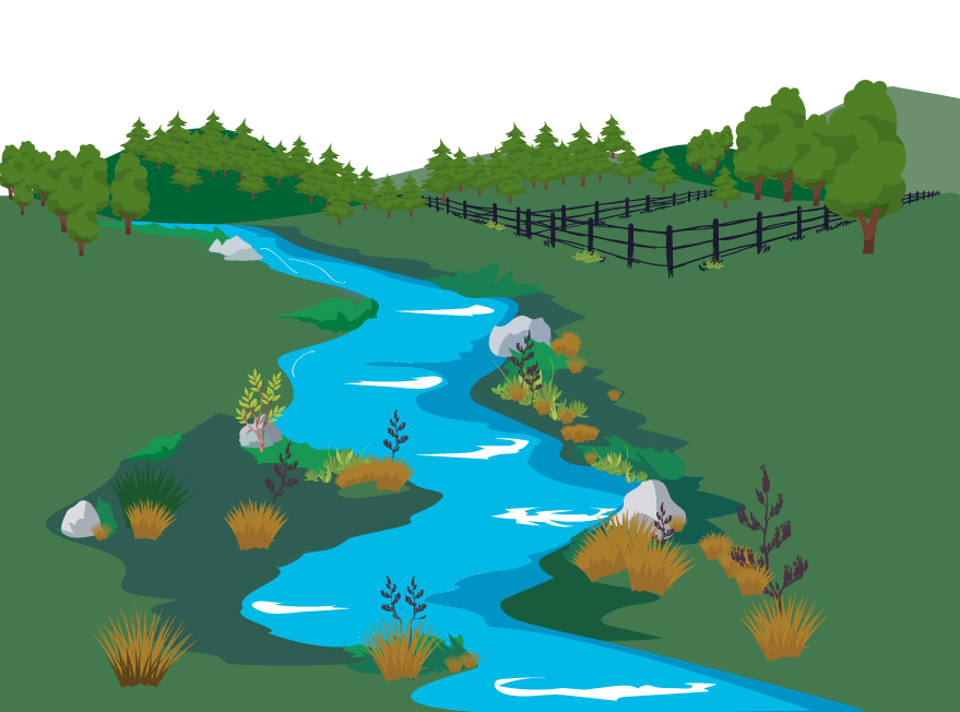 Illustration of a stream flowing through a grassy landscape with scattered shrubs and rocks. On the right side, there is a fenced area with trees, and in the background, a dense forest covers rolling hills. The stream is bordered by patches of vegetation and stones.