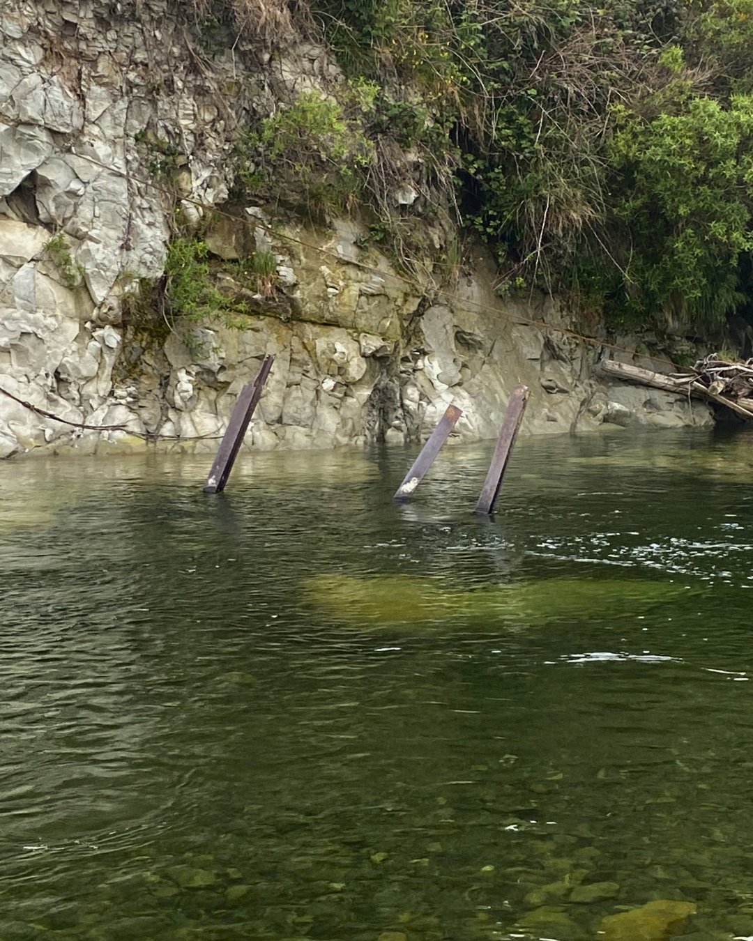 Three rail irons sticking up out of the water of a river