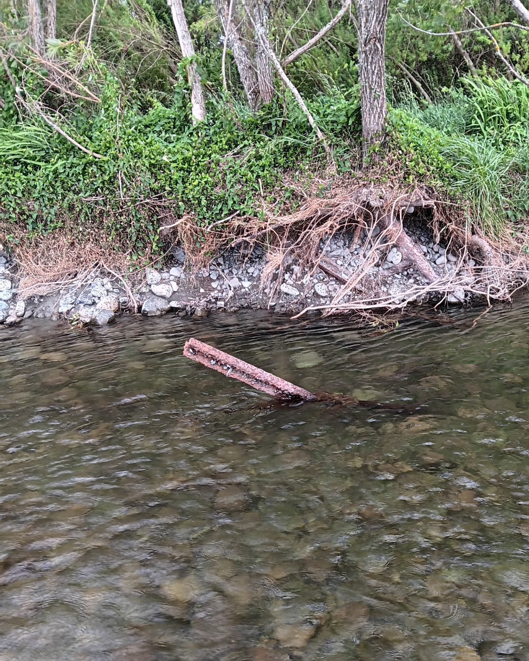 A rail iron sticking up out of the water of a river at and angle