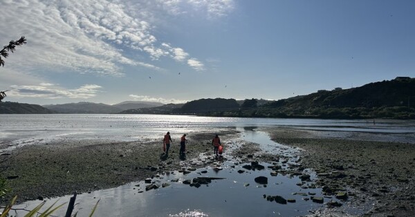 Three people picking up rubbish on a beach shoreline