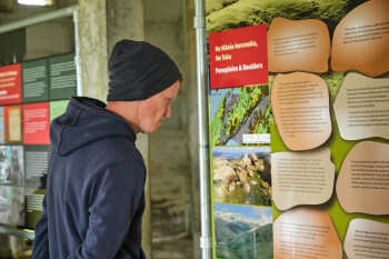 A man reading an information board about peneplains and boulders at Belmont Regional Park