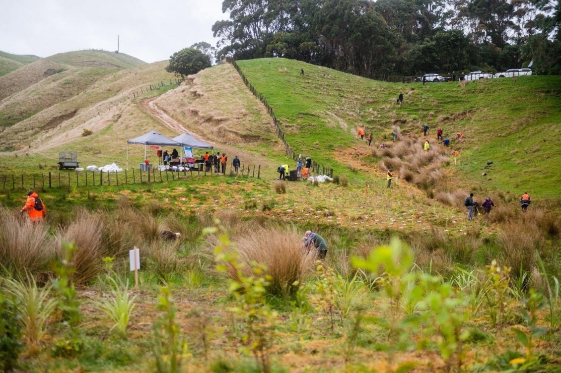 Wetland restoration at Belmont Park