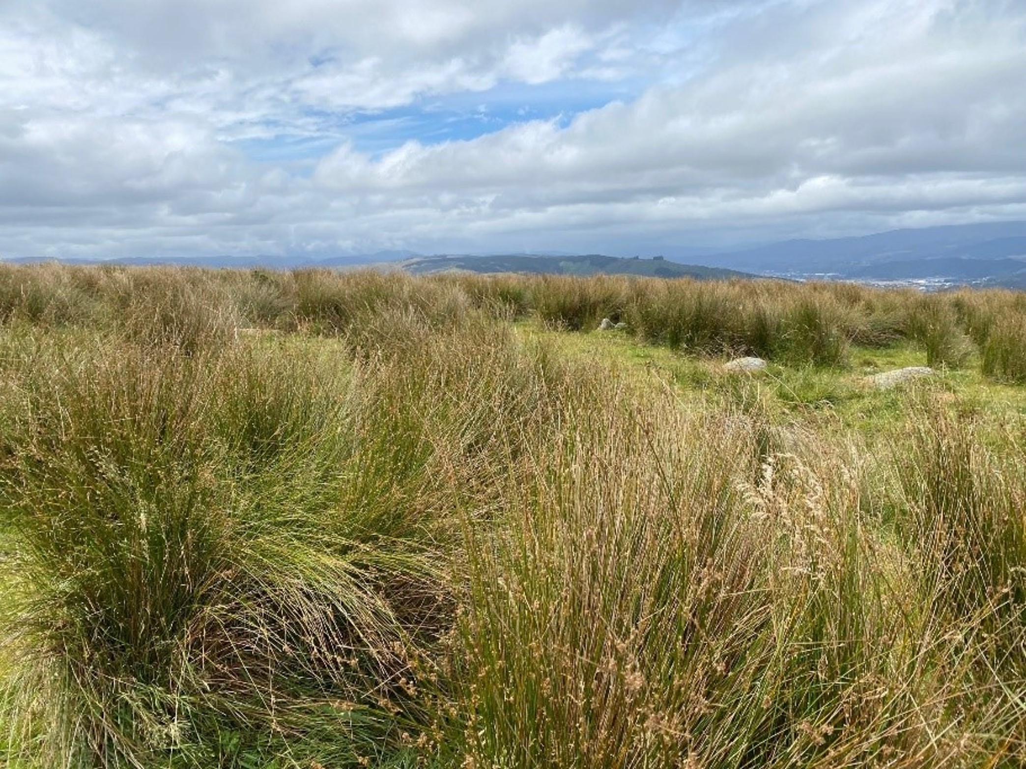 A view across Boulder Hill