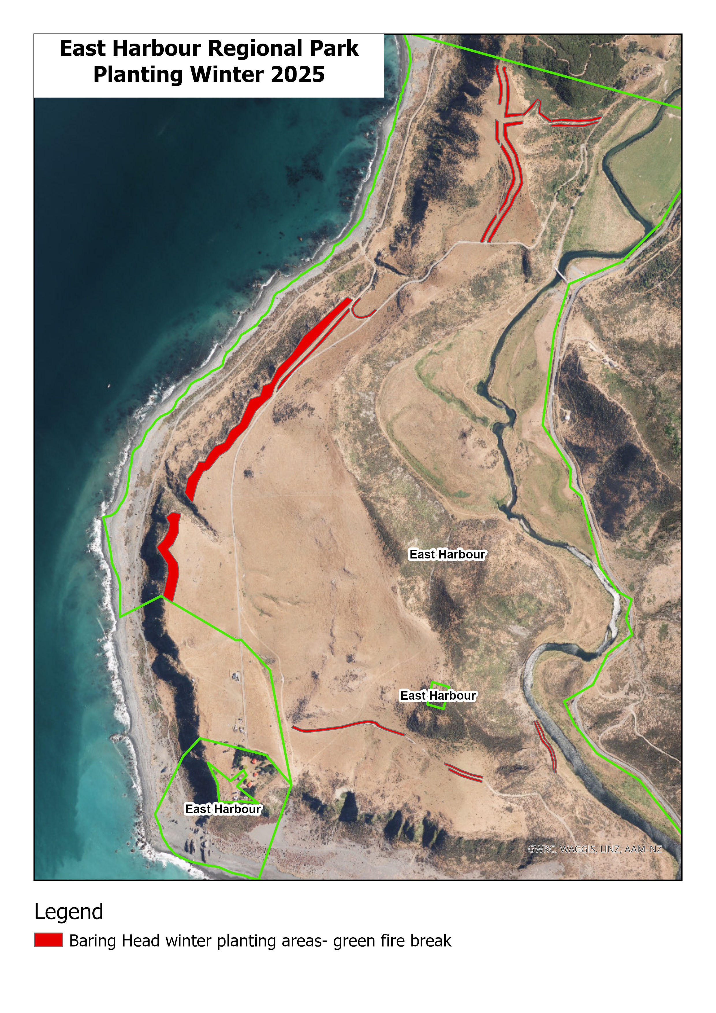 Map of planting areas in Baring Head for winter 2025