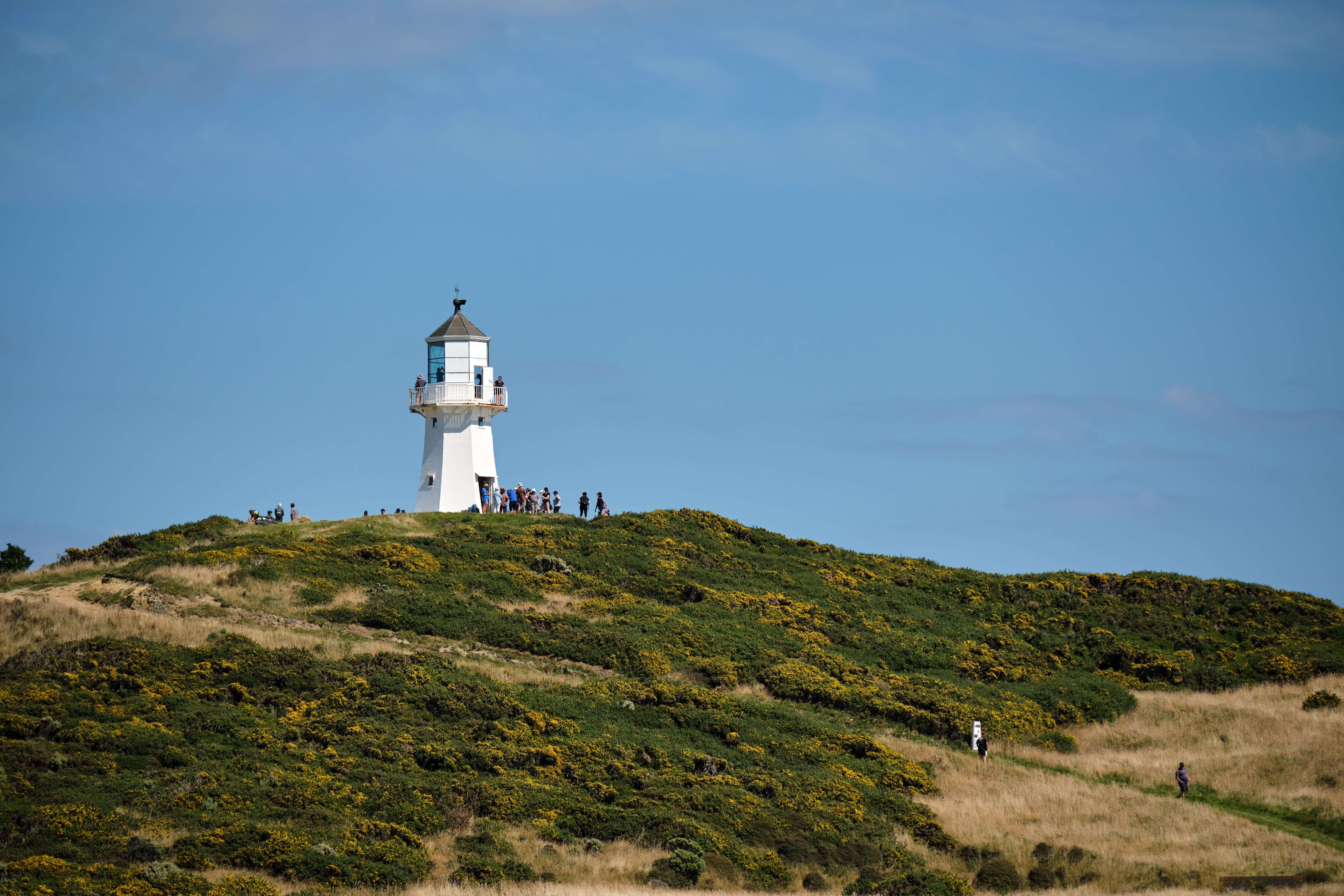 Pencarrow Lighthouse against a clear blue sky