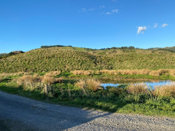 A flourishing wetland with fences removed