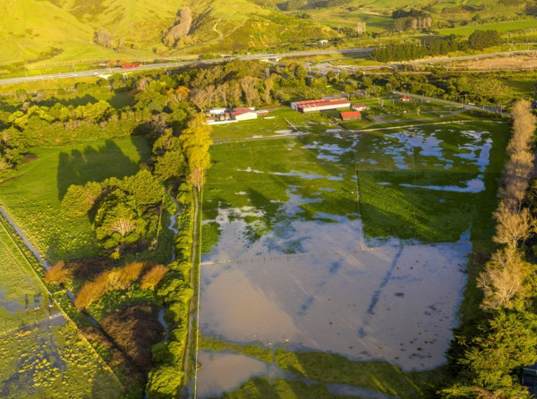 Wetland beside Whareroa Stream