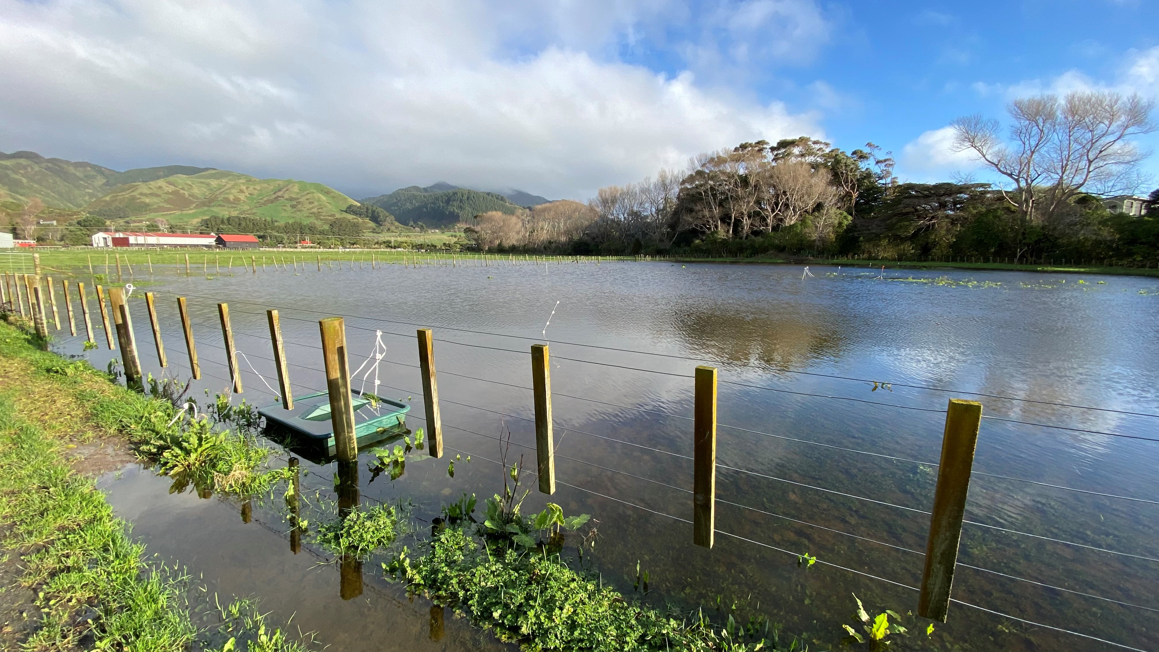 Wetland in Queen Elizabeth Park