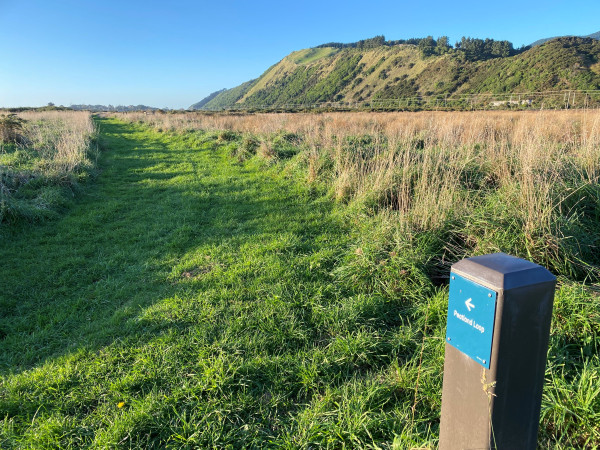 Bollard indicating the Peatland Track in QEP