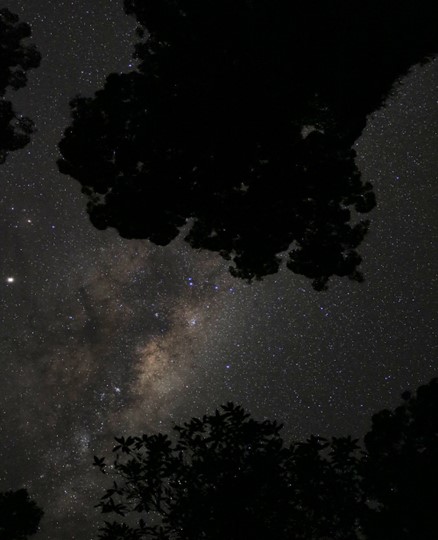 A picture from the first dark skies event held in partnership with Wellington Astronomical society 