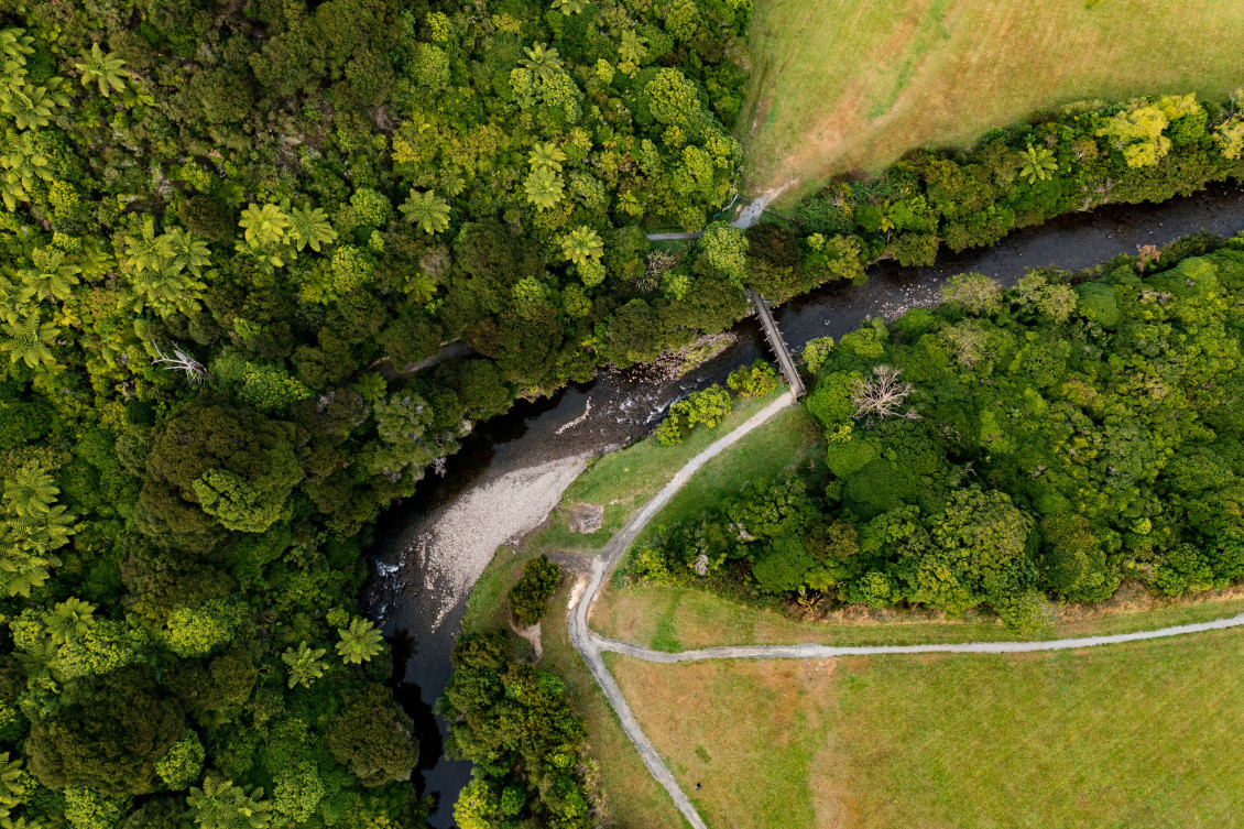 Aerial photo of the Wainuiomata Gum Loop Track