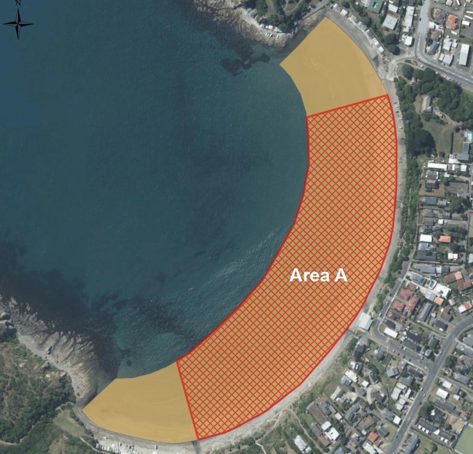 Map of the Titahi Bay Fossil Forest