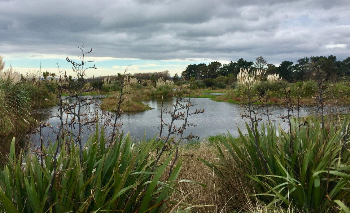 1.7 Wairio Wetland