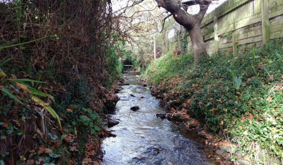 Behind 7 Deller Gr looking towards upstream