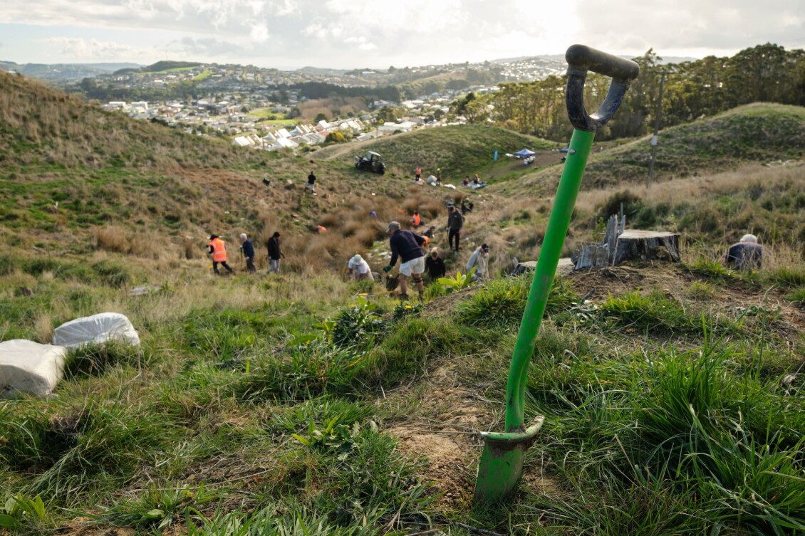 Belmont park planting