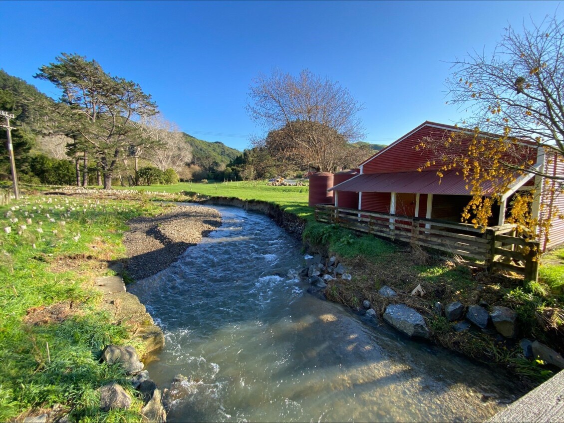 Horokiri Stream before the work - much of the bank has fallen away into the stream