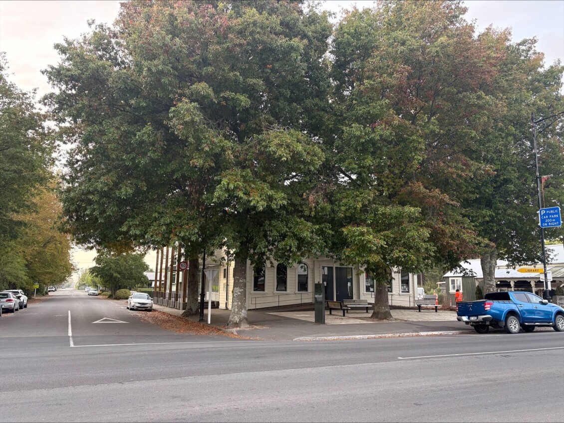 Lush trees in central Greytown