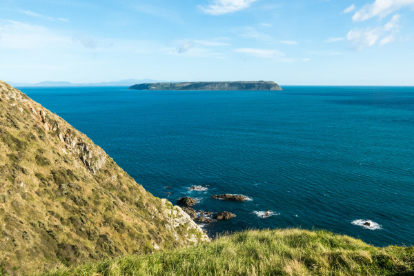 Whitireia IMG 0871 Whitireia Park